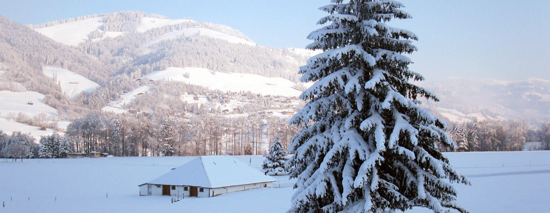 Buvette de montagne Au Creux du feu. Pays de Fribourg en Gruyère